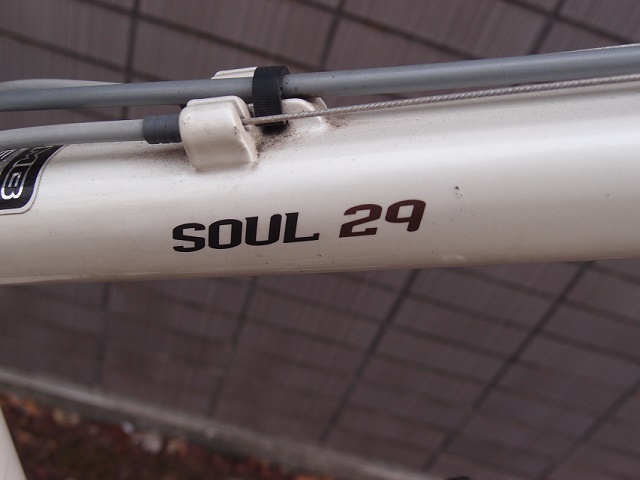 ロッキーマウンテン MTB トレイルバイク SOUL29